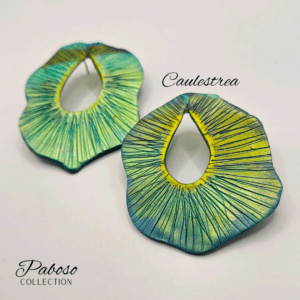 Caulestrea revised 1