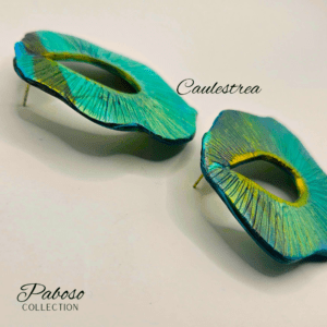 Caulestrea revised 2